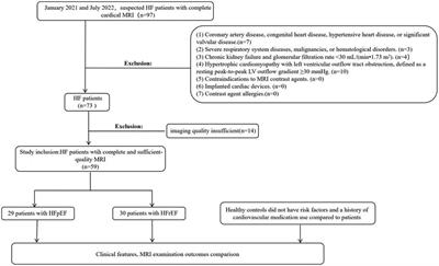 Distinguishing heart failure subtypes: the diagnostic power of different cardiac magnetic resonance imaging parameters